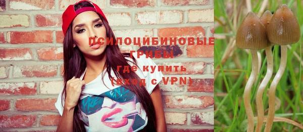 гашик Заволжск