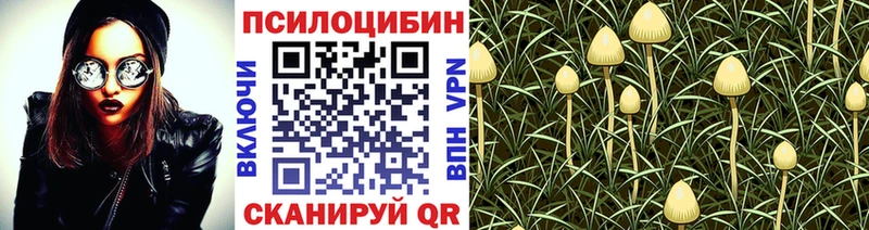 купить закладку  Демидов  Псилоцибиновые грибы Magic Shrooms 
